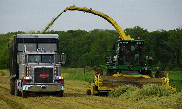 Hay & Forage