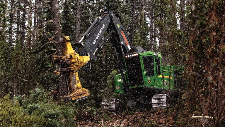 Forestry Feller Bunchers